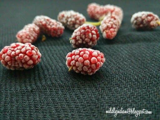 Mulberries