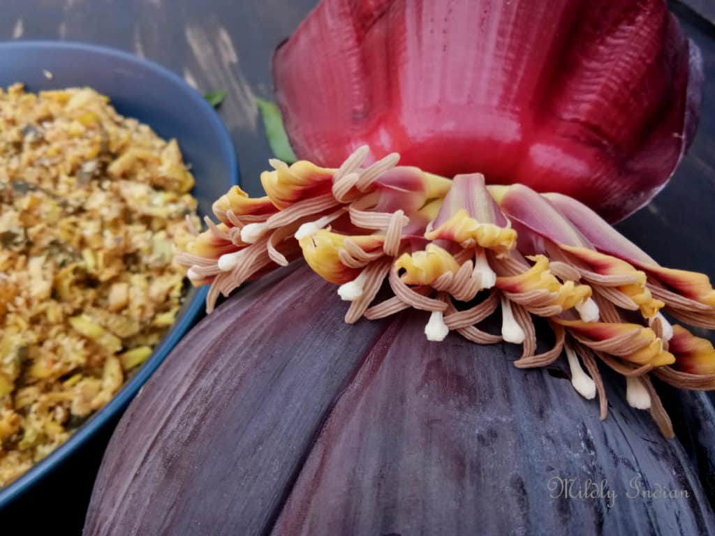 banana flower