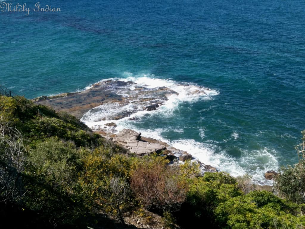 Stunning views at Bald Hill Lookout, Illawarra. | Mildly Indian