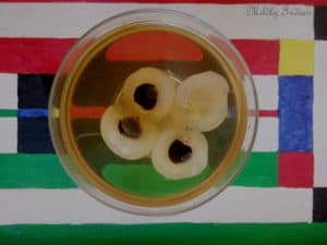 Dragon eye longan tea