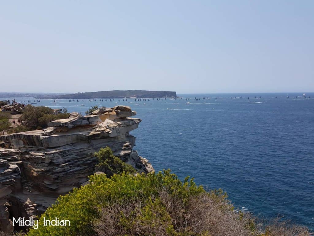 Bushwalking in Sydney | Mildly Indian