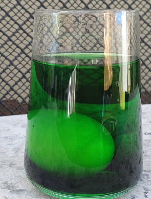 osmosis experiment