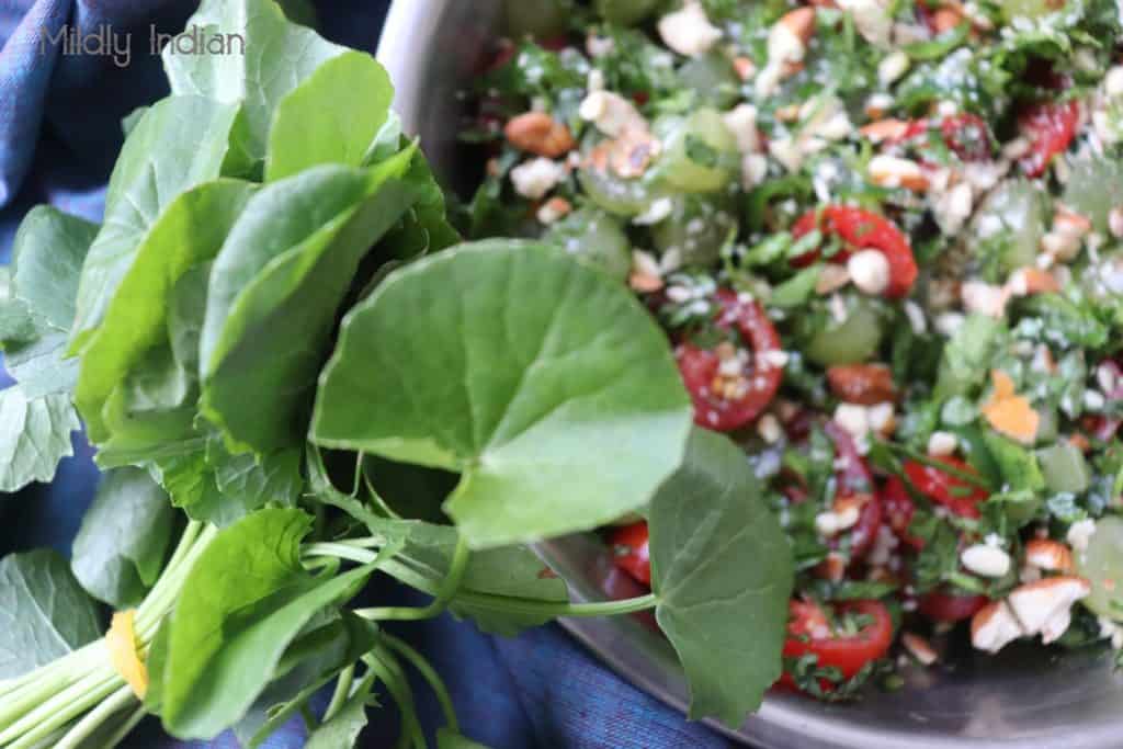 pennywort salad 