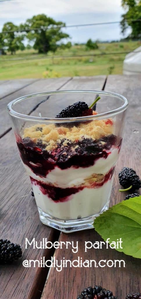  layered mulberry parfait