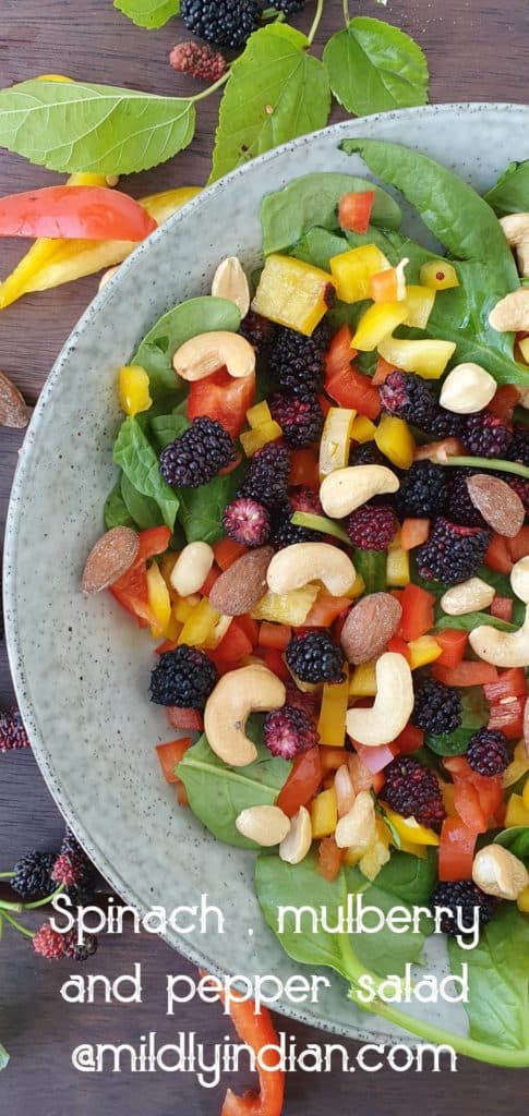 spinach salad with mulberries, coloured bell peppers and italian dressing