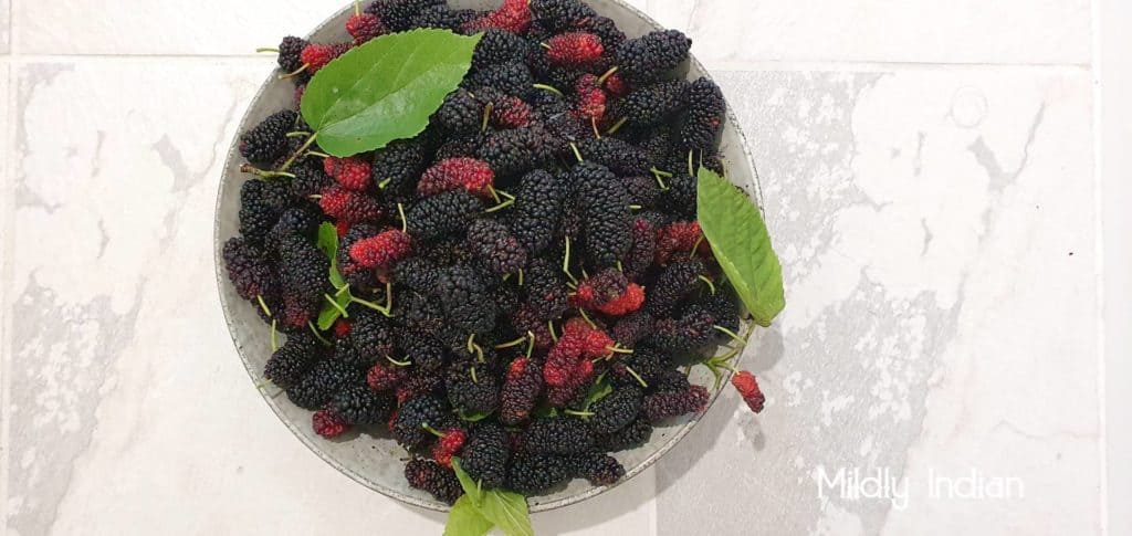 fresh mulberries from the garden.