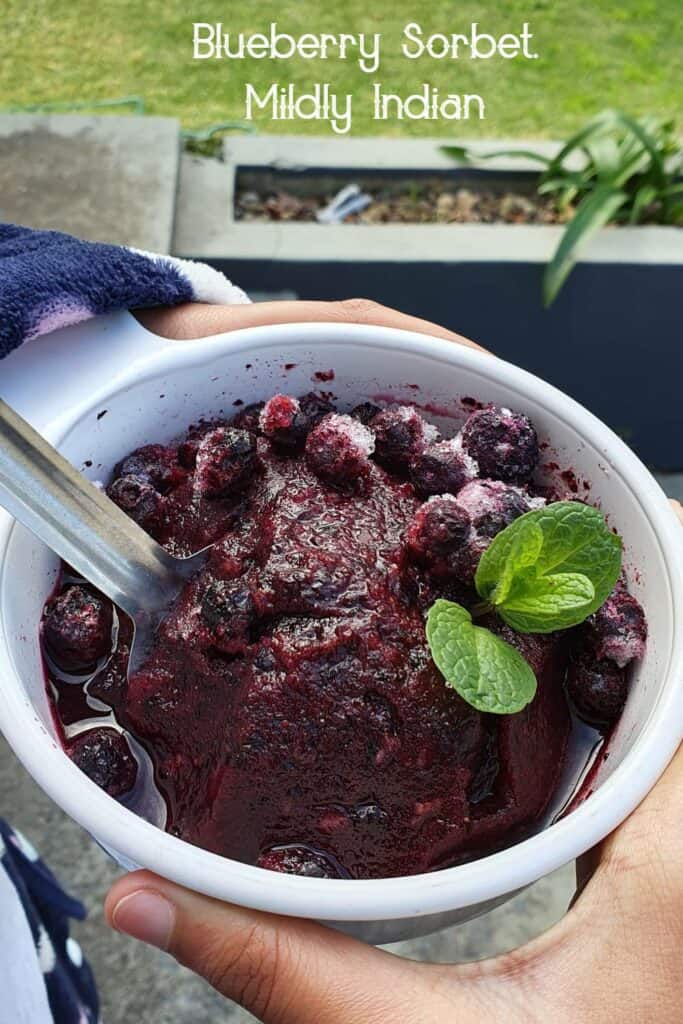 blueberry sorbet 