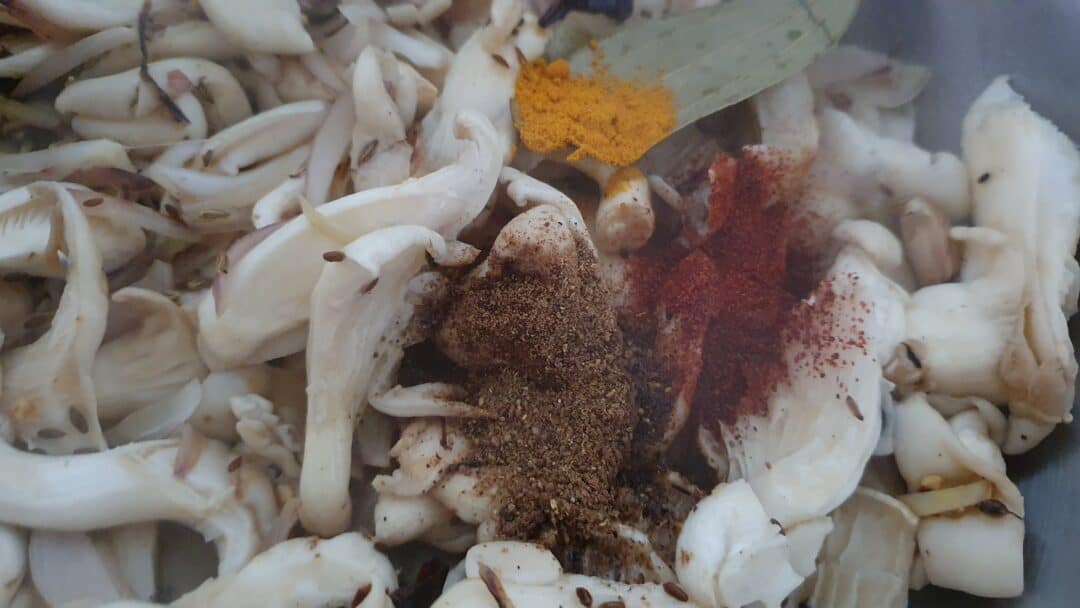 Oyster mushroom curry – Mildly Indian