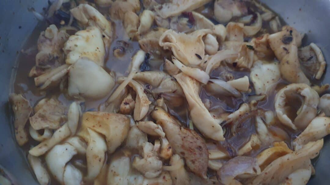 Oyster mushroom curry – Mildly Indian