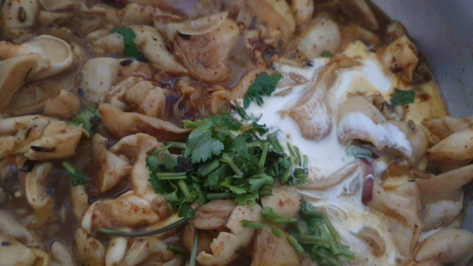 Oyster mushroom curry Mildly Indian