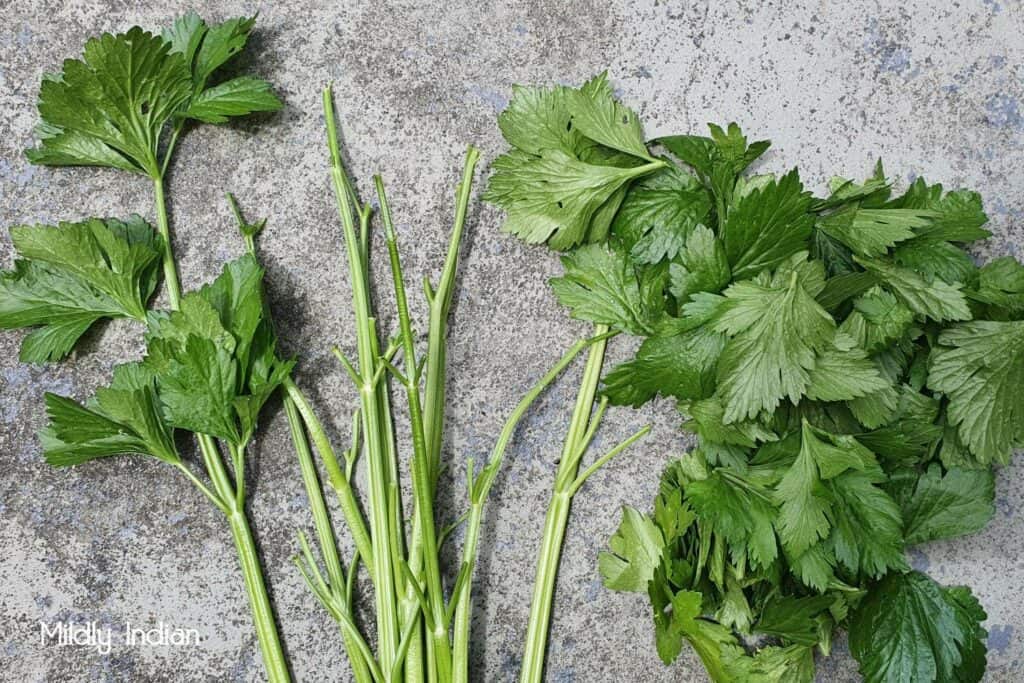 Celery leaf dal paratha