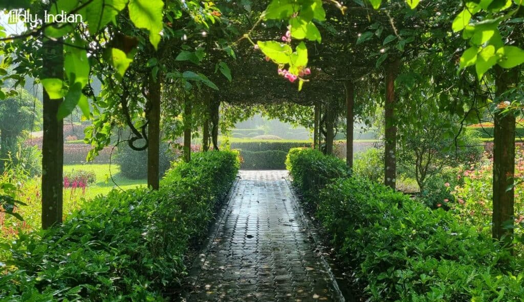 Tour the land of Nilamba Nilambur, Kerala Mildly Indian