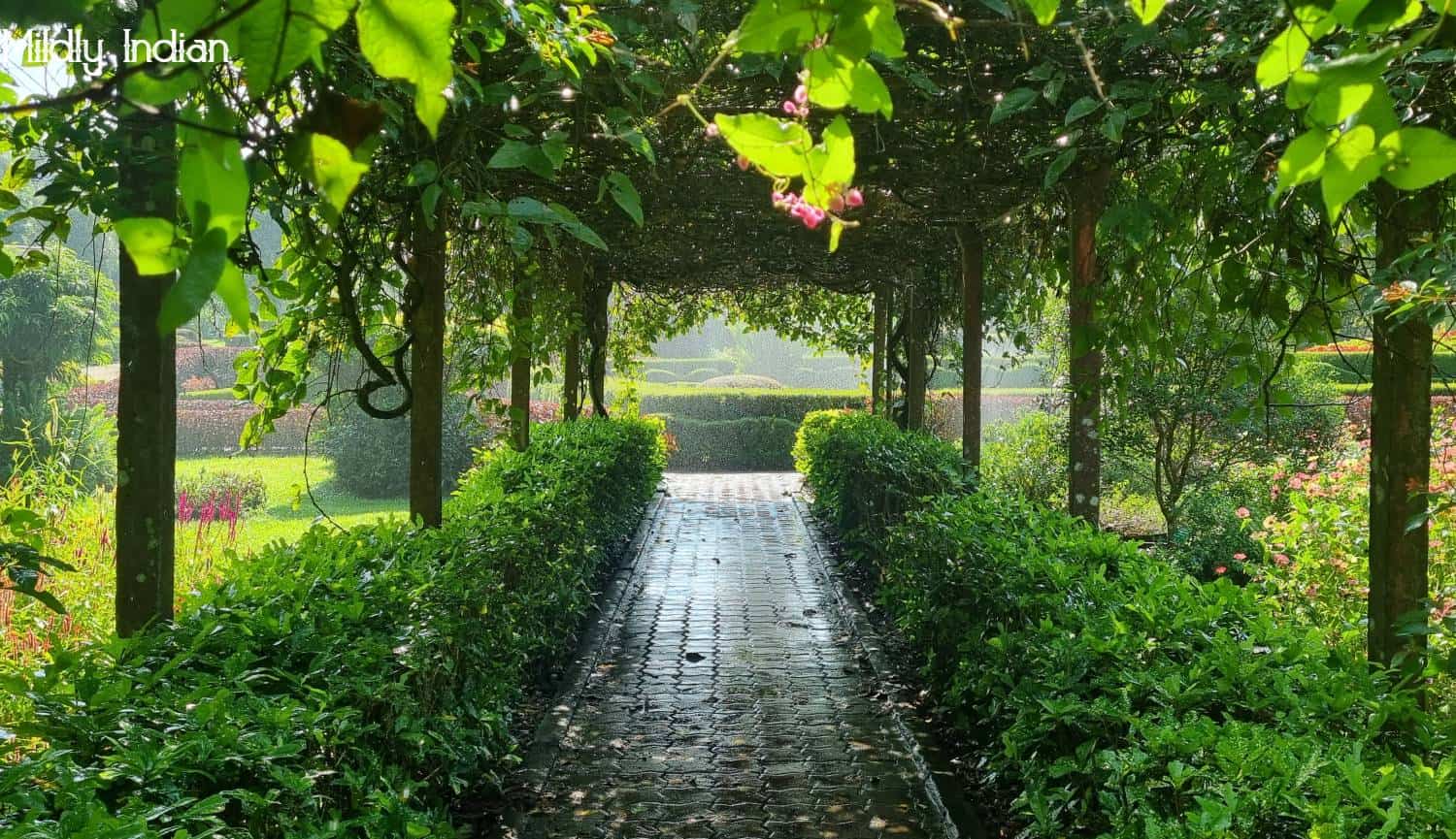 Tour the land of Nilamba Nilambur, Kerala Mildly Indian